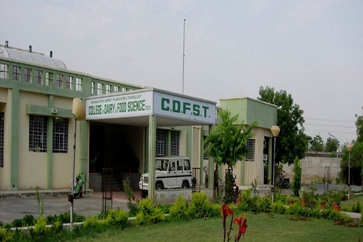 CDFST Udaipur